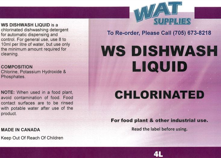 WS Dishwash Liquid 4L Jug Chlorinated 4/cs